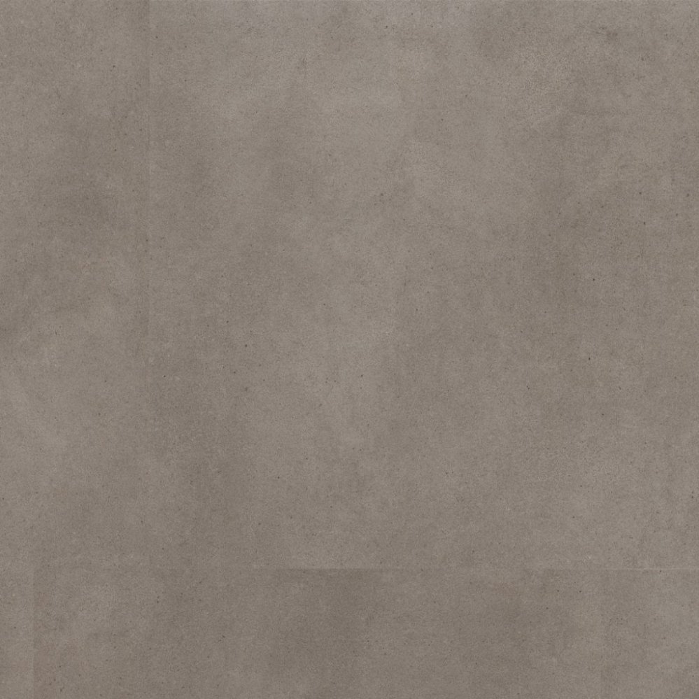 Taupe - 6111198219_7f455026